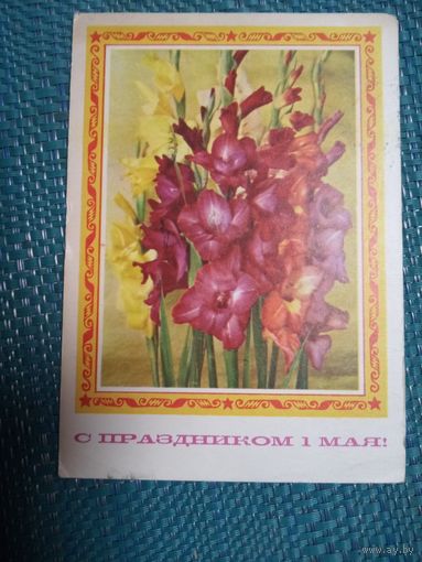 Открытка. С праздником 1 мая! Фото Г. Костенко. 1974 год.