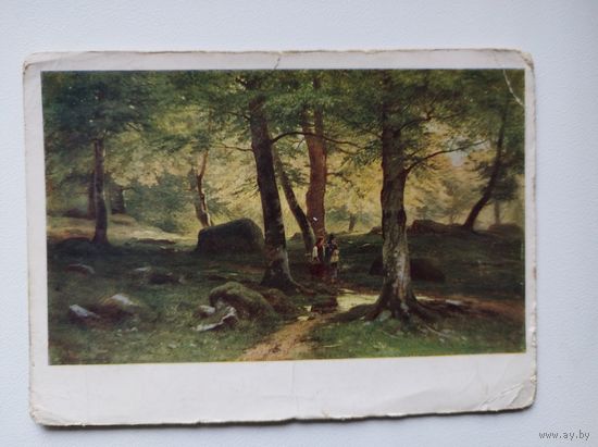 И.И. Шишкин. В роще. 1963 год