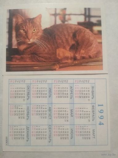 Карманный календарик. Котик.1994 год