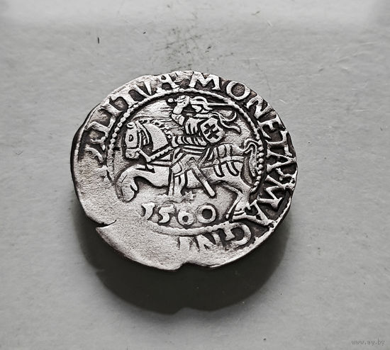 Полугрош 1560 г. Сигизмунд II Август, Вильно, лот рп-14