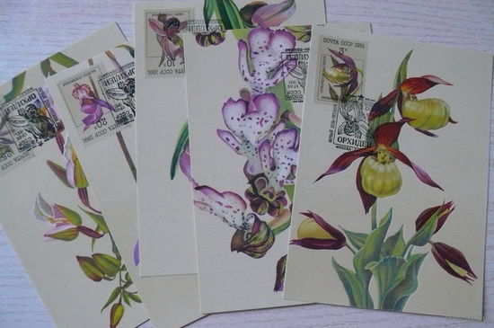 1990, 1991, Картмаксимум СССР, полная серия - 5 шт.; Охотина Н., Орхидеи (флора, цветы).