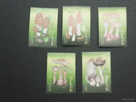 Беларусь 1998. Грибы. Полная серия .