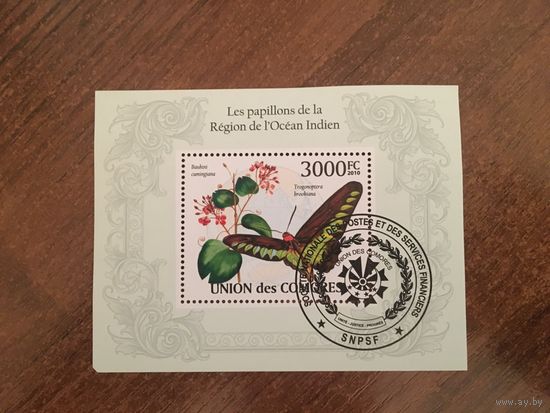 Коморские острова 2010. Бабочки (блок)