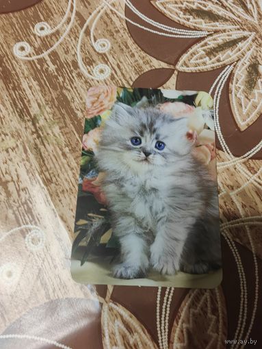 Календарик,коты,украина,2011