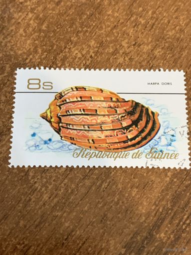 Гвинея 1977. Ракушка. Harpa Doris. Марка из серии