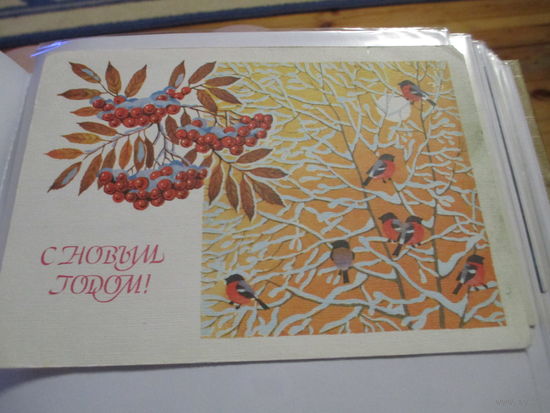 Базаров.Чистая.