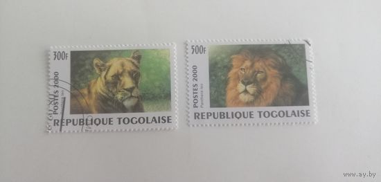 Того 2000. Большие кошки со всего мира