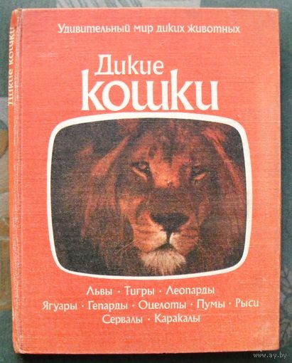 Дикие кошки. Серия Удивительный мир диких животных. Большой формат.