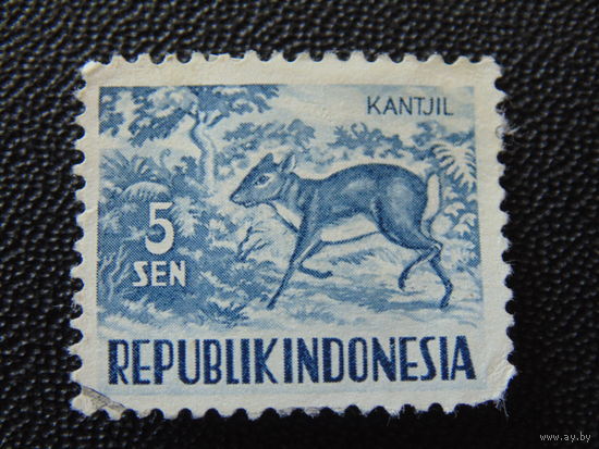 Индонезия 1956 г. Фауна.