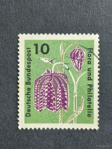 Германия 1963. Флора и филателия