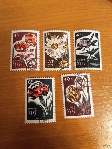 1965 СССР флора цветы Заг 3102-3106 полная гашеная серия MNH** (c-6)