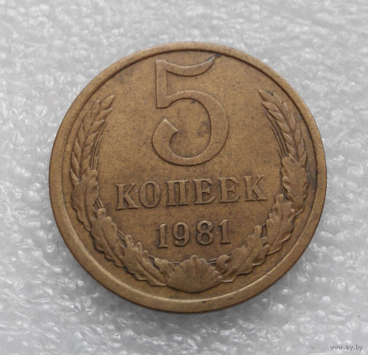 5 копеек 1981 СССР #08