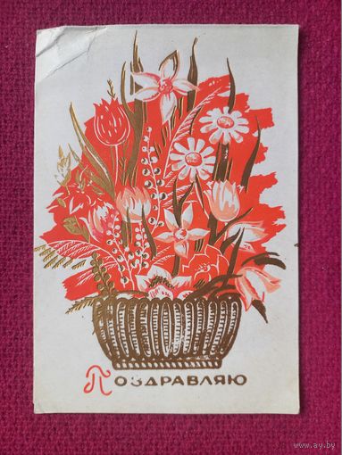 Поздравляю! Пинская типография 1969 г. Двойная. Чистая.