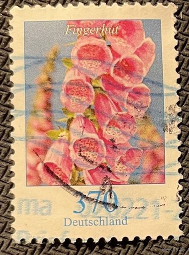 ЦІКАВІЦЬ АБМЕН! Напарстак (370)