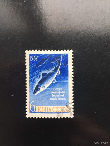 СССР 1962 год. Рыбы
