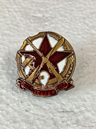 Знак ранних советов АВИАХИМ реплика