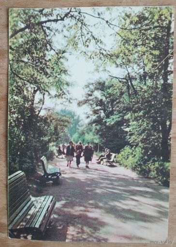 Брест. Аллея дружбы в парке им. Первого мая. 1961 год. Чистая.