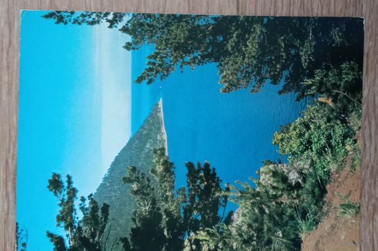 Пейзаж, 1984