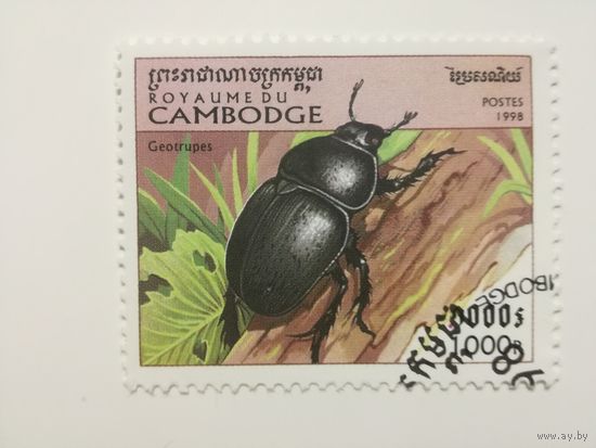 Камбоджа 1998. Жуки