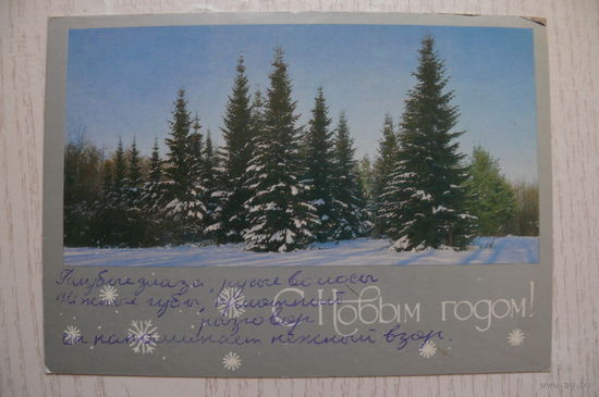 Самсоненко Н., С Новым годом! 1985, подписана.