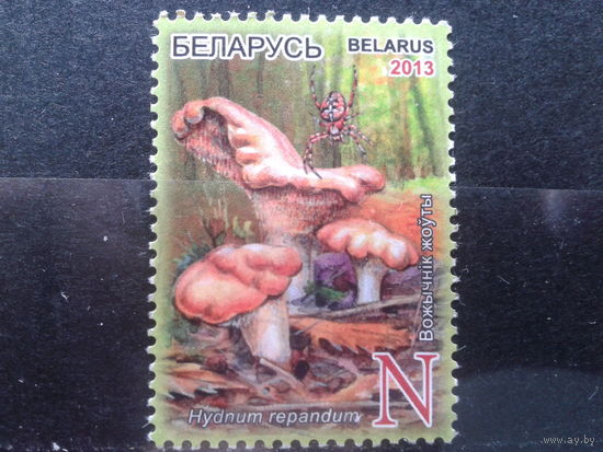 Беларусь, 2013. Ежовик желтый*
