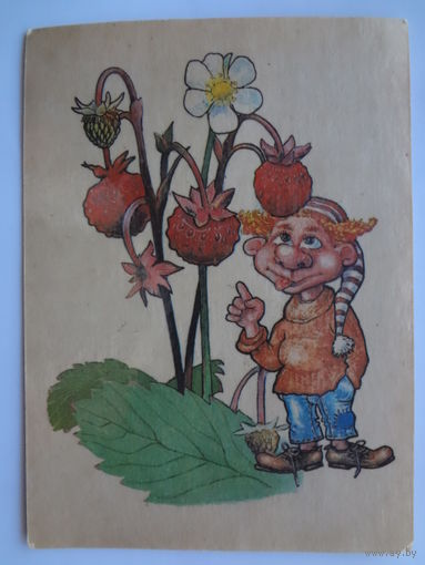 Календарик 1995 г. Земляника.