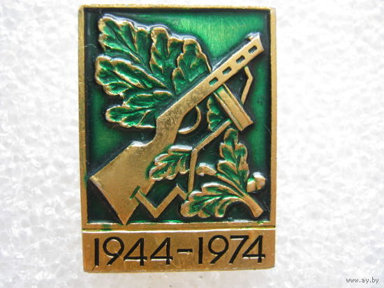 30 лет освобождения Белоруссии, партизаны.