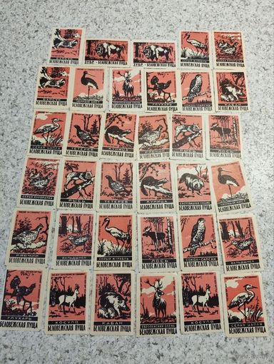 Спичечные этикетки