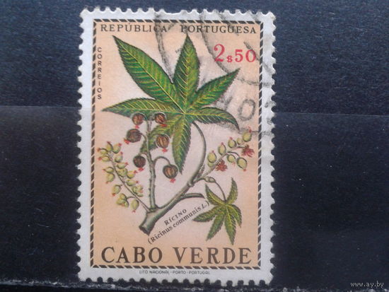 Кабо Верде, колония Португалии, 1968. Чудо-дерево