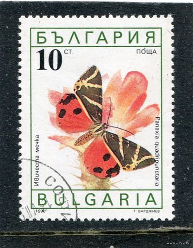 Болгария. Бабочка
