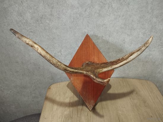 Вешалка из рога