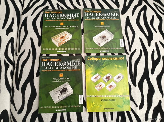 Журнал Настоящие насекомые и их знакомые