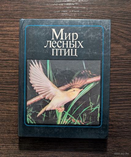 Мир лесных птиц | Фотоальбом | Птицы | Штейнбах
