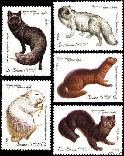Марки СССР 1980 года.  5086-5090. Ценные породы пушных зверей. Полная серия из 5 марок. 5086-5090. Чистая