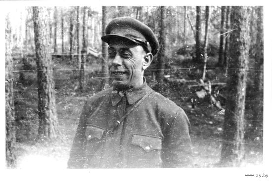 Партизаны лепельских лесов