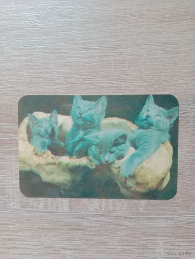 Календарик 1991