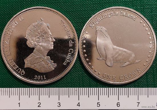Тристан-да-Кунья 1 крона 2011 год "Субтропический морской котик (остров Найтингейл)"
