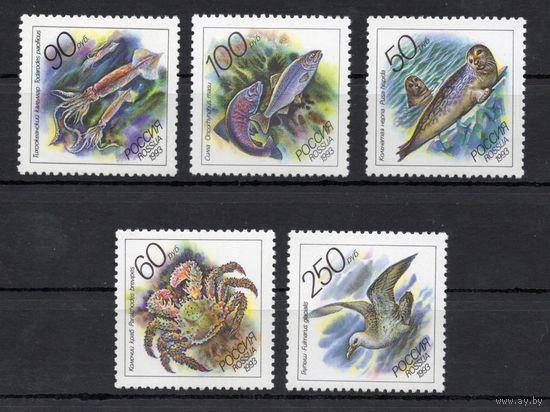 Россия 1993. Фауна. Животные морей 5 марок 104-108 (65)