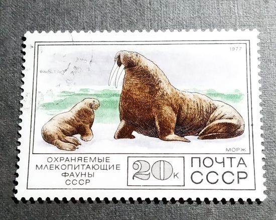 Марка СССР 1977 год Фауна