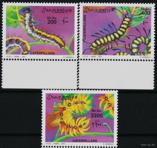 2001 Сомали. Гусеницы  MNH