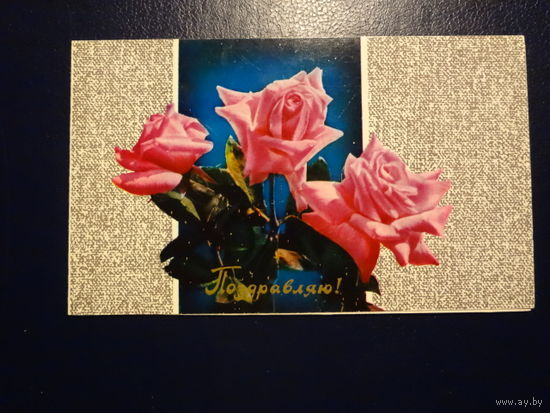Поздравляю!  Розы. 1976 г.  подписанная.  двойная.