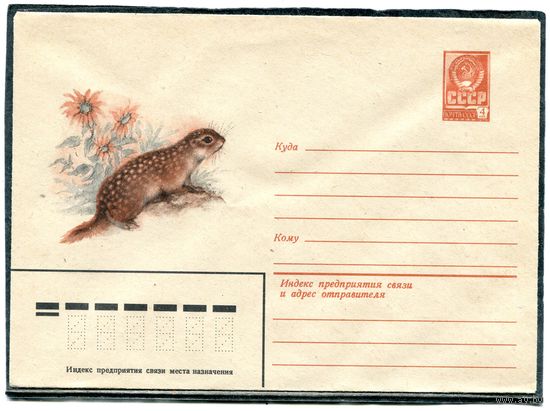 СССР 1980. ХМК. Конверт. Суслик крапчатый