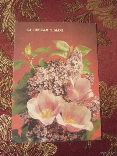 Открытка посвящена празднику 1 Мая