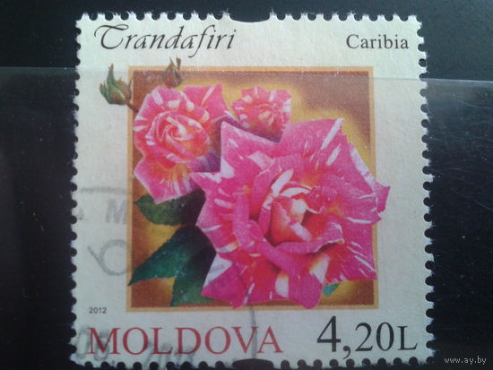 Молдова 2012 Розы, концевая марка серии Михель-2,5 евро гаш