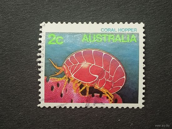 Австралия 1984. Жизнь моря. Вальдекия