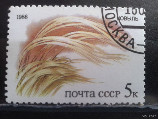 1986 Ковыль