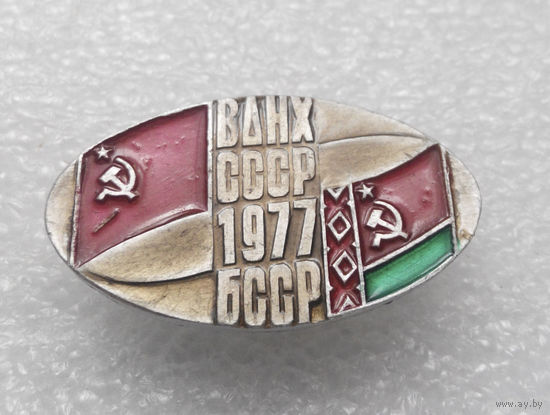 Значок. ВДНХ СССР БССР 1977 год #0346