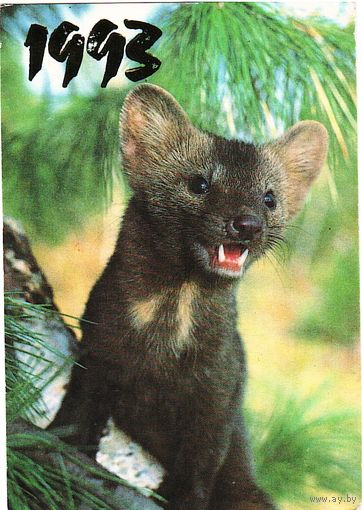 Календарик Фото К. Михалкина 1993