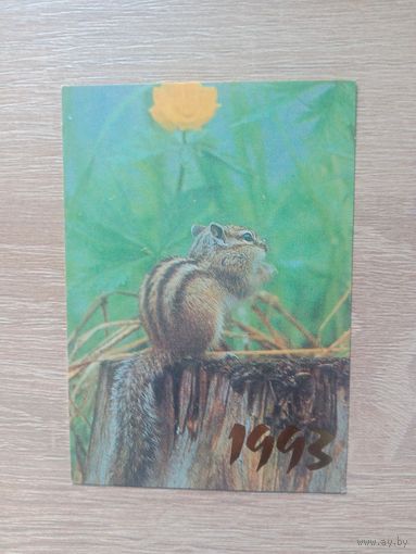 Календарик 1993