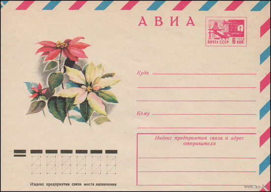 Художественный маркированный конверт СССР N 12077 (18.05.1977) АВИА  Молочай прекраснейший